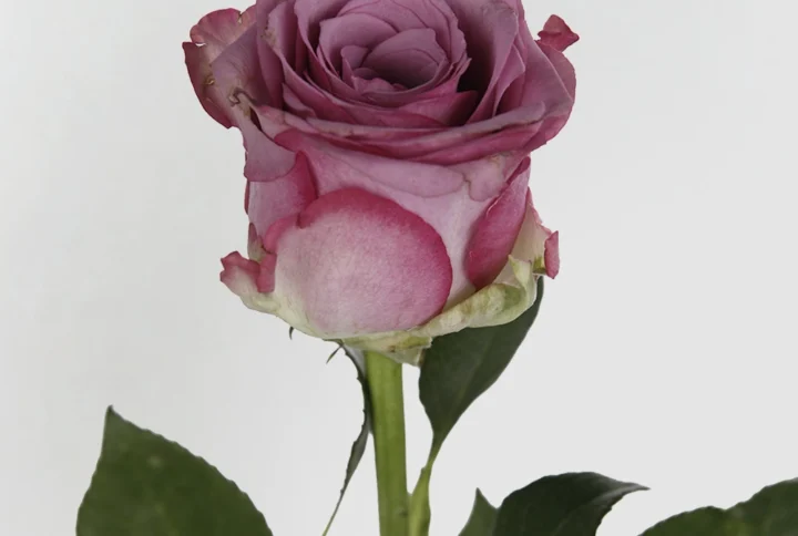 01 11