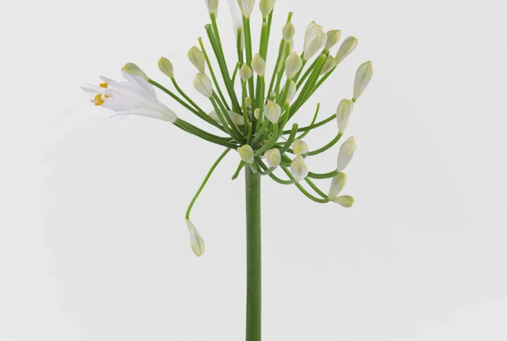 01 2