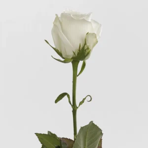 01 4