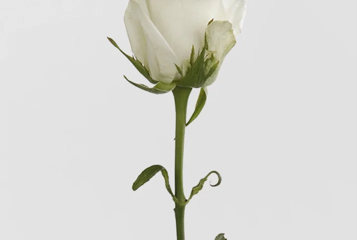 01 4