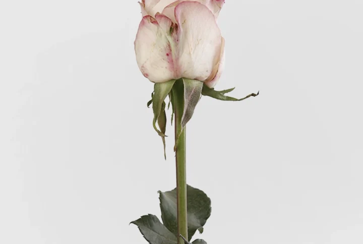 01 5