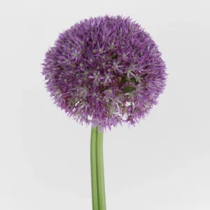 01 6