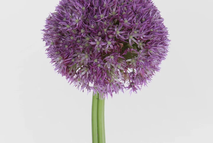 01 6
