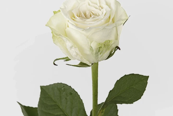 01 8