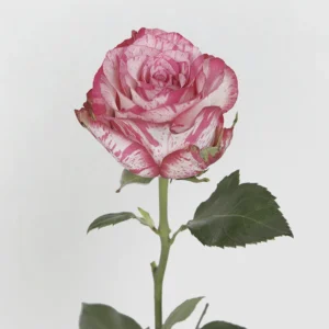 01 9