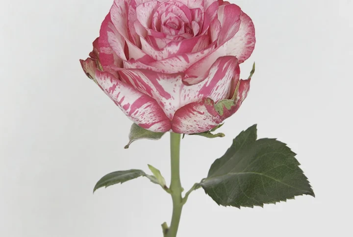 01 9