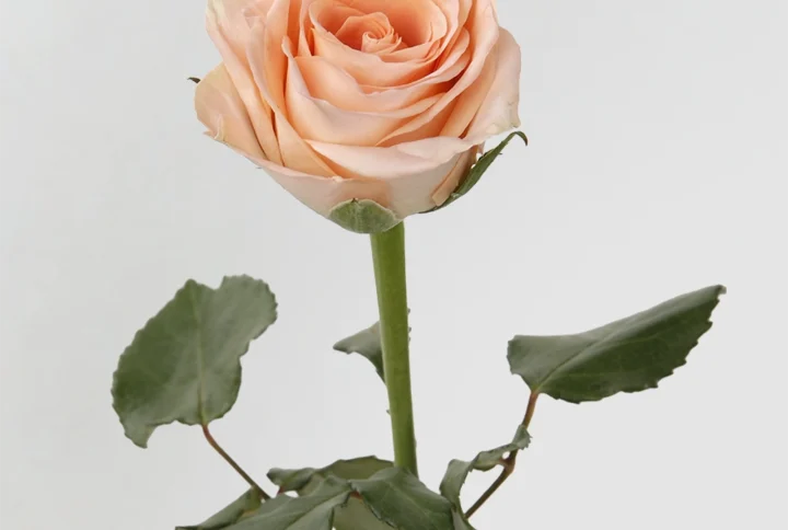 01 11
