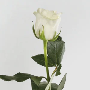 01 13