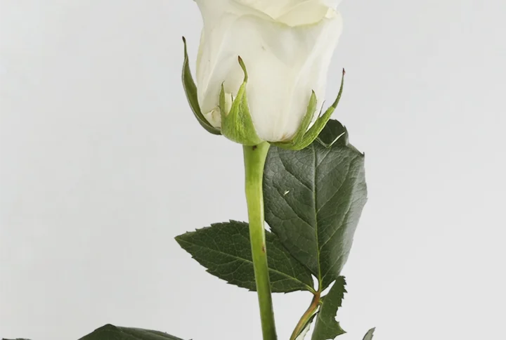 01 13