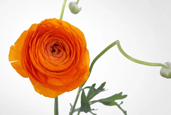 01 14