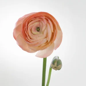 01 16