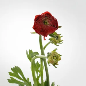 01 17