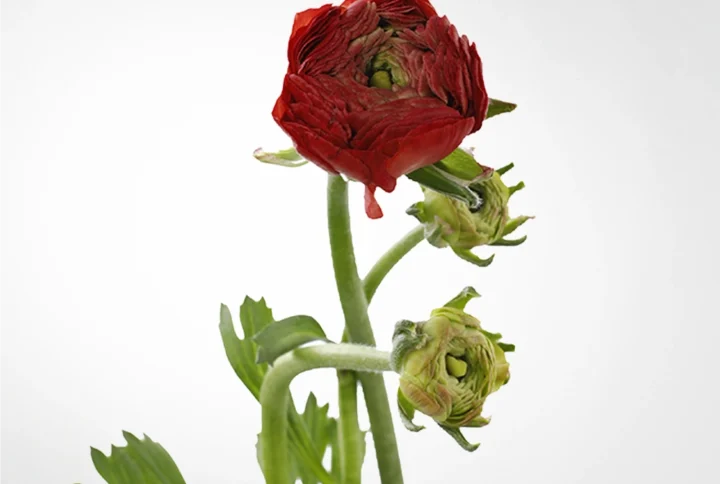 01 17