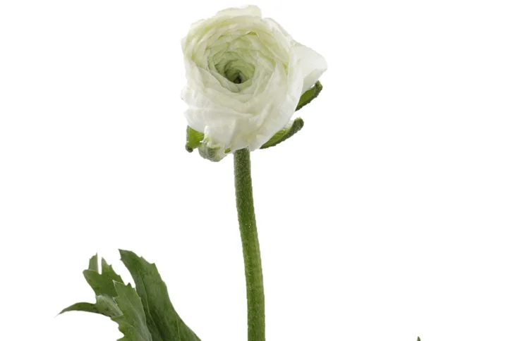 01 18