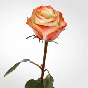 01 19