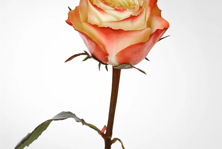 01 19