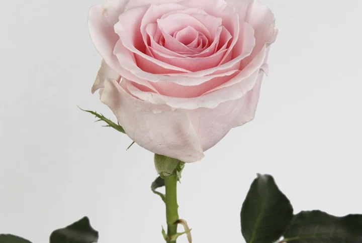 01 2