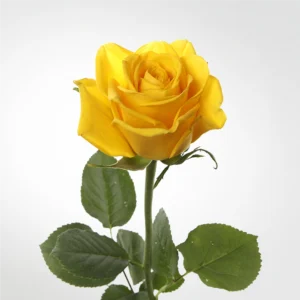 01 24