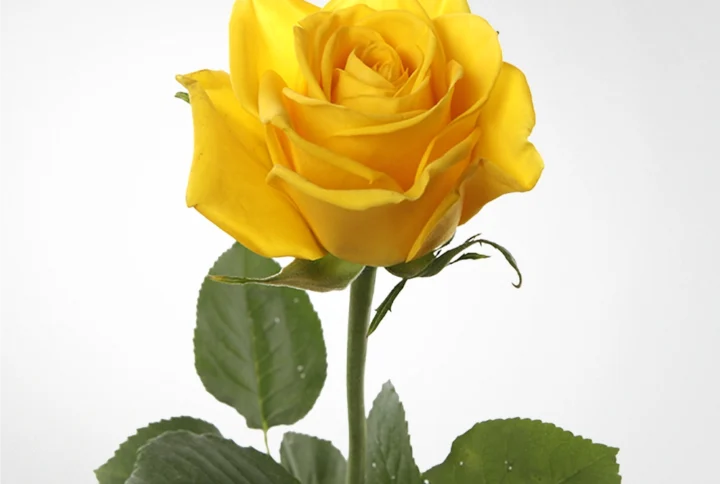 01 24