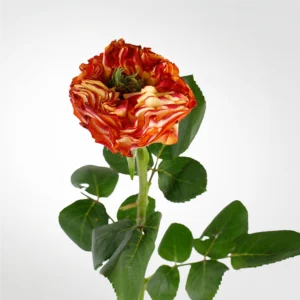 01 26