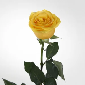 01 28