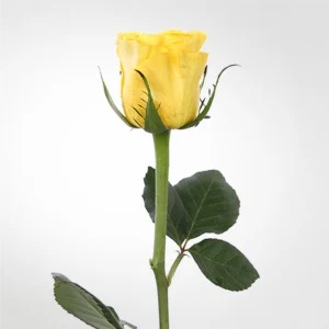 01 29