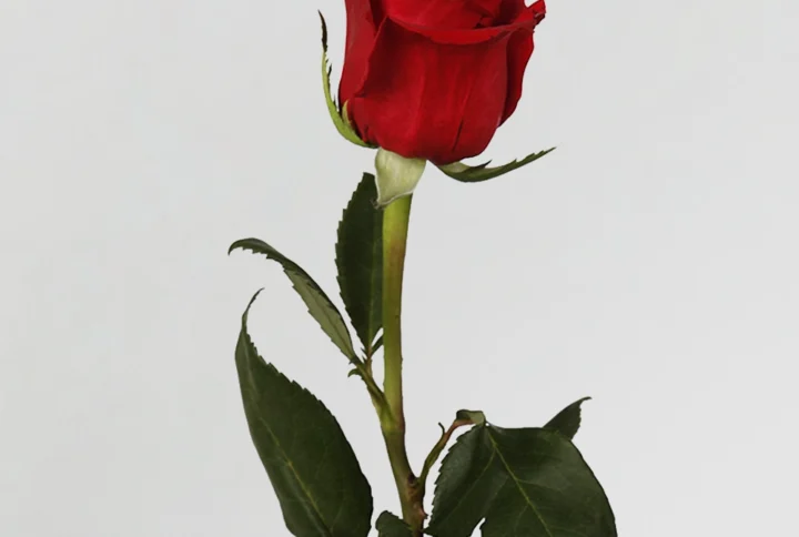 01 7