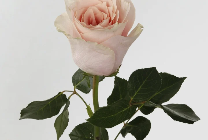 01 8