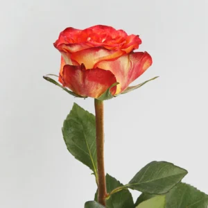 01 9