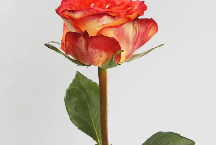 01 9