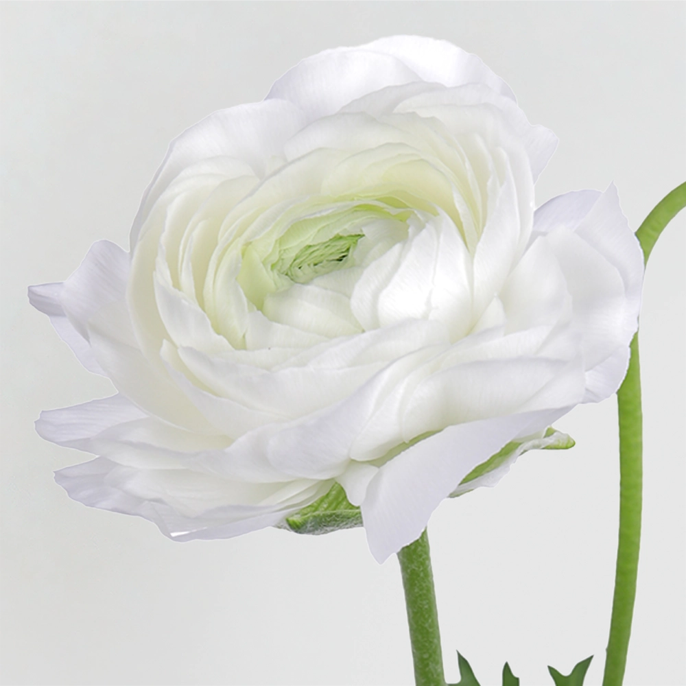 02 02