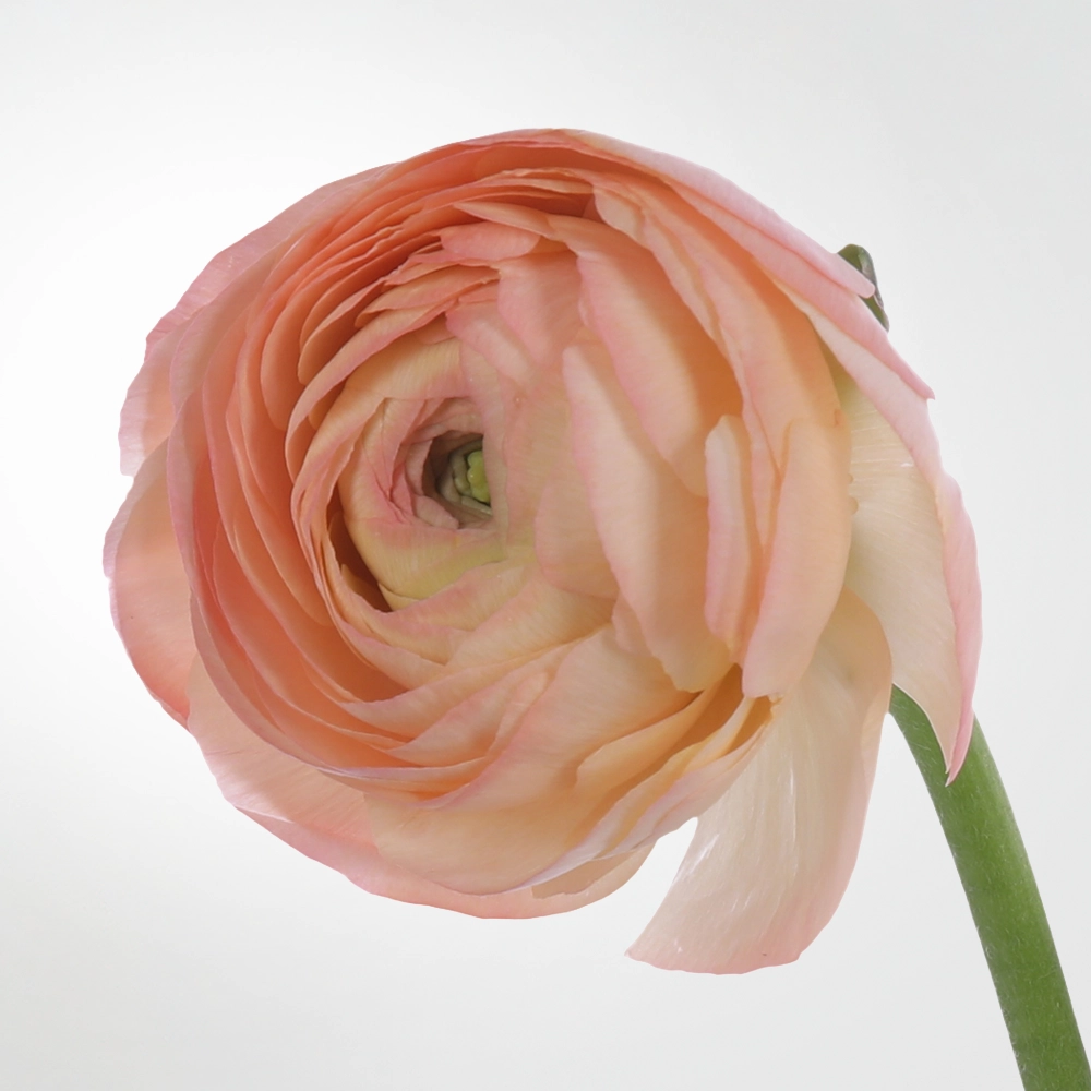 02 02