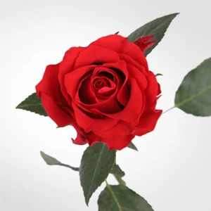 02 27
