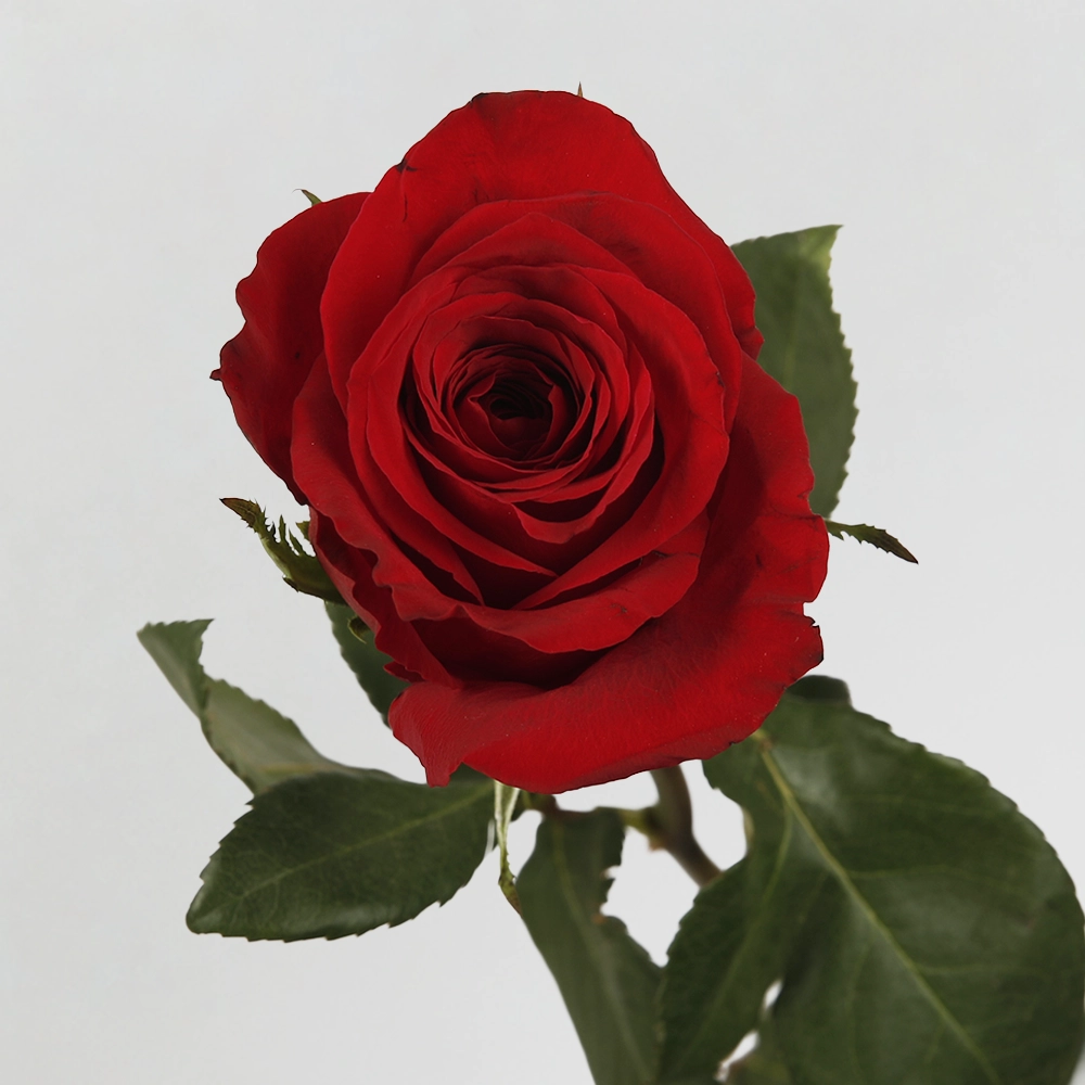 02 02